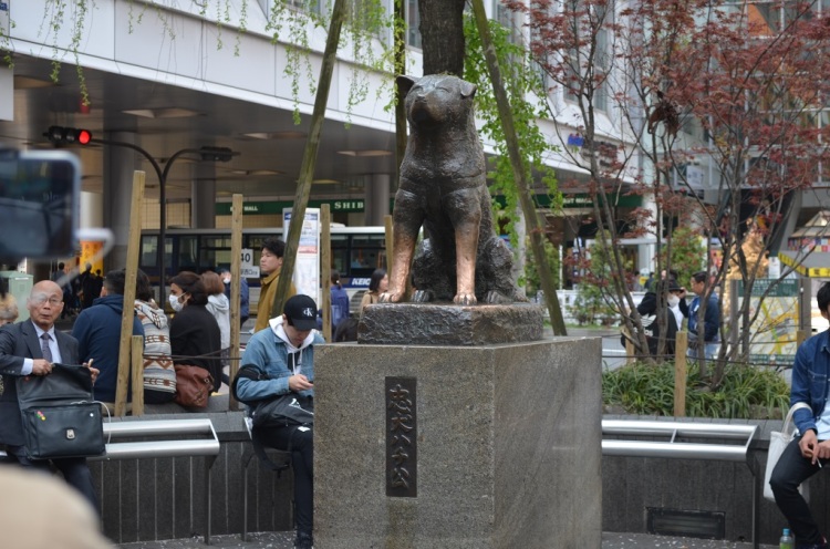 Statua di Hachiko