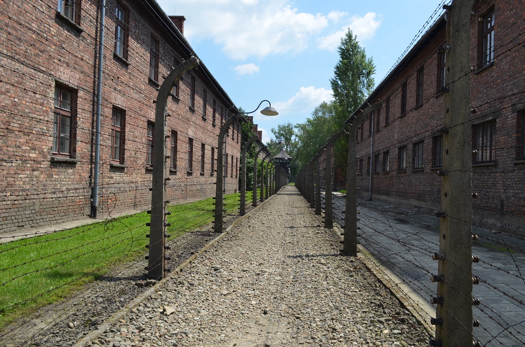 il filo spinato - Auschwitz